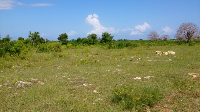 Land for sale in Vipingo, Mombasa
