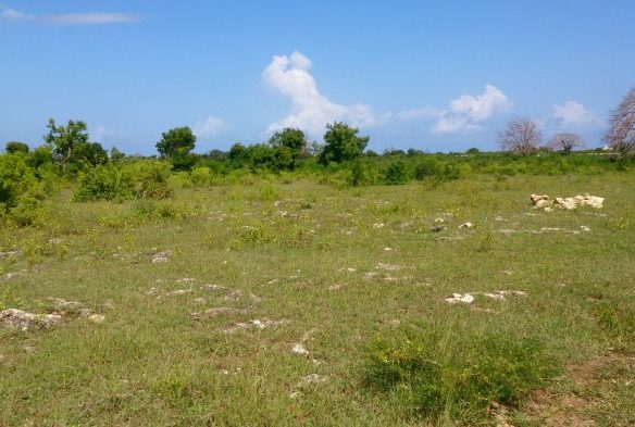 How to buy land in Kenya